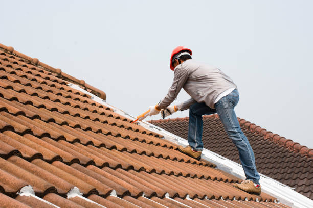 Best Tile Roofing Installation  in Shannon Hills, AR